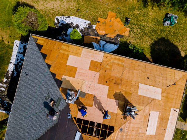Best Roof Replacement Cost  in Campbellsville, KY